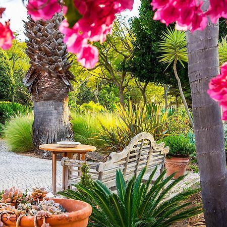 Quinta Azul - Gorgeous Apartment With Pool & Private Terrace Lagoa  Buitenkant foto