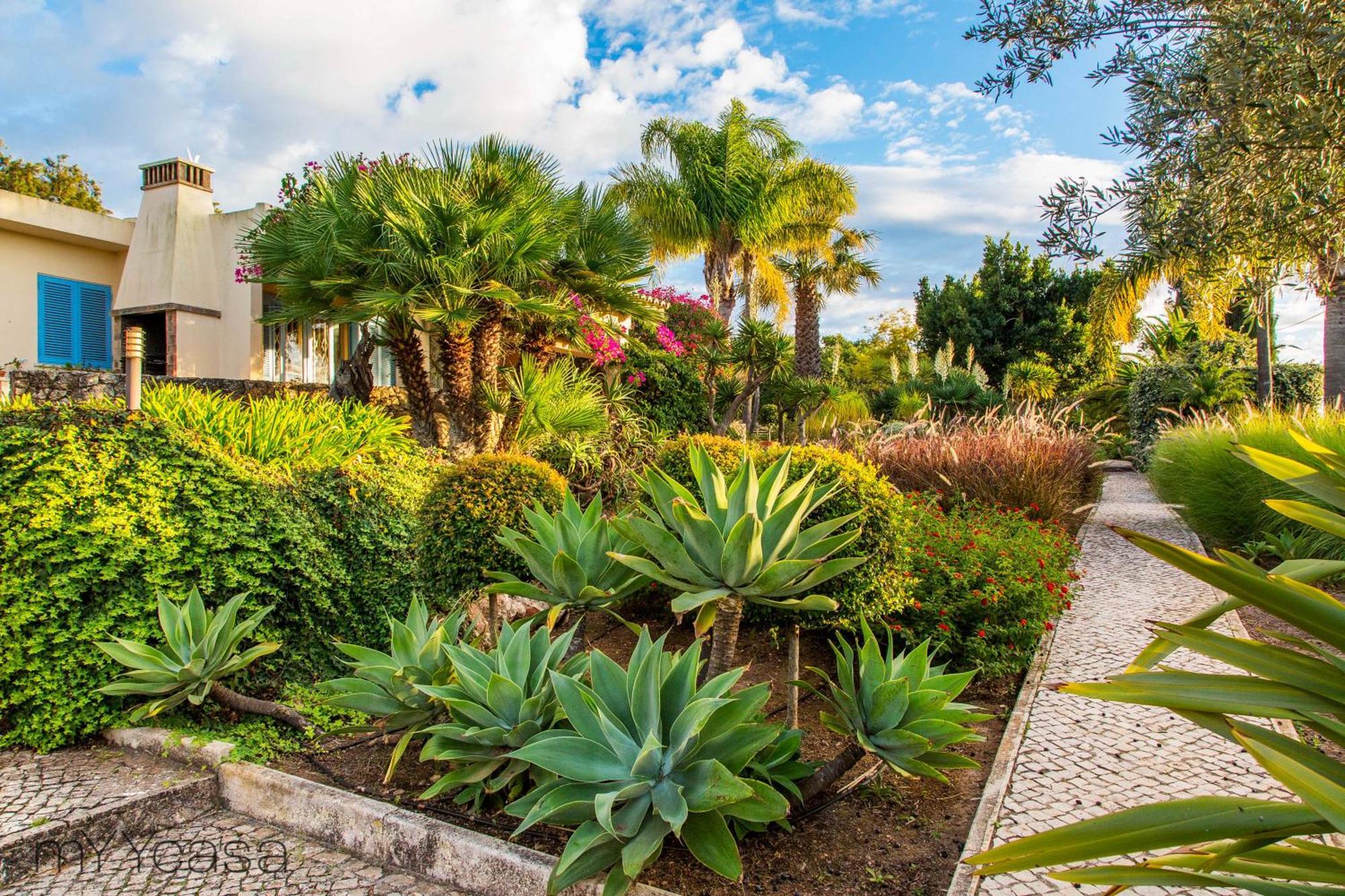 Quinta Azul - Gorgeous Apartment With Pool & Private Terrace Lagoa  Buitenkant foto
